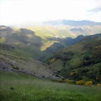 DSCN4320