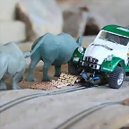 10425150_998563313487724_8021612711939837352_n