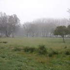 DSCN7458