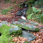 DSCN0771