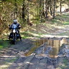 DSCN4867