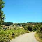 DSCN3916