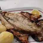 Anchova a la espalda