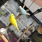 IMG-20180905-WA0008