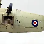 SDC21336