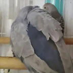 20170531_111644