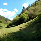 DSCN0798