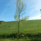 DSCN2054