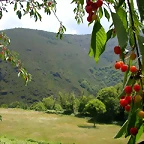 DSCN2164