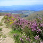 090-Imagen 096