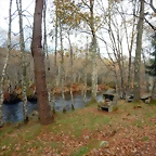 DSCN9381