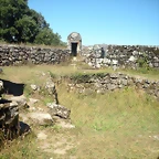 DSCN7847