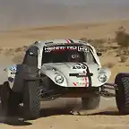 vw desert