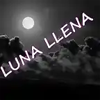 noche_de_luna_llena