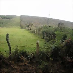 DSCN8350