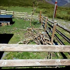 DSCN1090