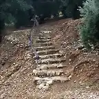 escaleras en la morena
