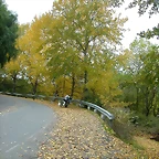 DSCN5836