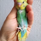 20190711_133806