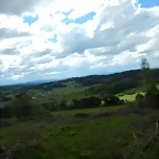 DSCN9310