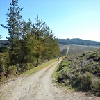 DSCN4355