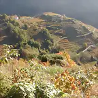DSCN4466
