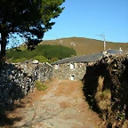 DSCN7934