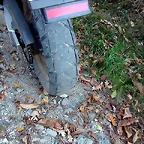 DSCN7954