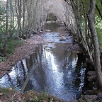 DSCN7918
