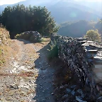 DSCN7932