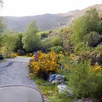 DSCN1414