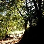 DSCN9164