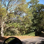 DSCN0082