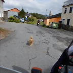 DSCN0367