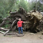 san martin de los andes 528