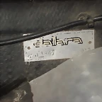 dallaragurini005