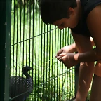Zoo de Barcelona 04-08-2010 044