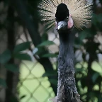 Zoo de Barcelona 04-08-2010 171