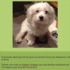 Hugo twitter 25-6-2018 (1)