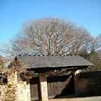 DSCN2167