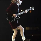 Angus2