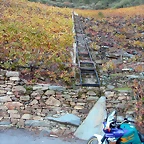 DSCN6560