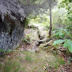 DSCN1367