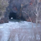 DSCN8124