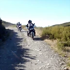 DSCN8883