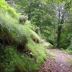 DSCN4269