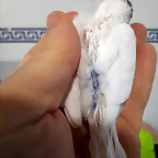 20190518_142048