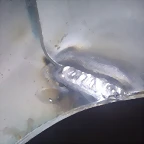 IMAG1192
