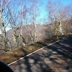 DSCN5554