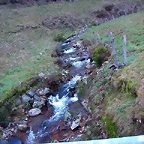 DSCN5624
